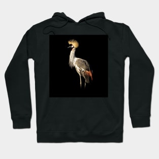 Grey crowned crane Hoodie